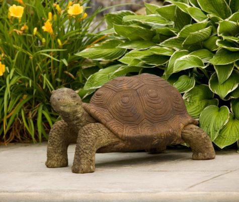 stone garden art sculpture of a tortoise