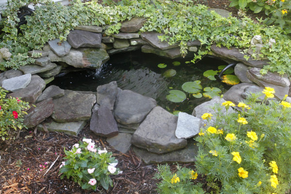 natural-looking stone garden pond with greenery and garden art
