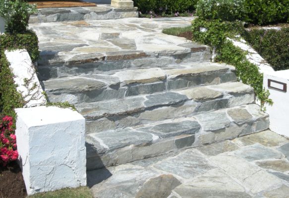 gray stone steps and pathway in a garden