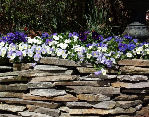 stacked stone wall in a garden of colorful, purple and white flowers