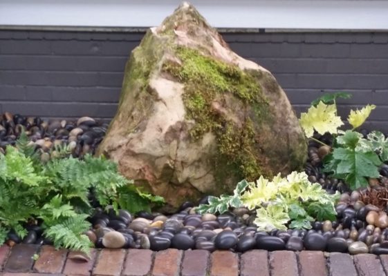 large, moss covered stone boulder in a garden with mexican beach pebbles and greenery