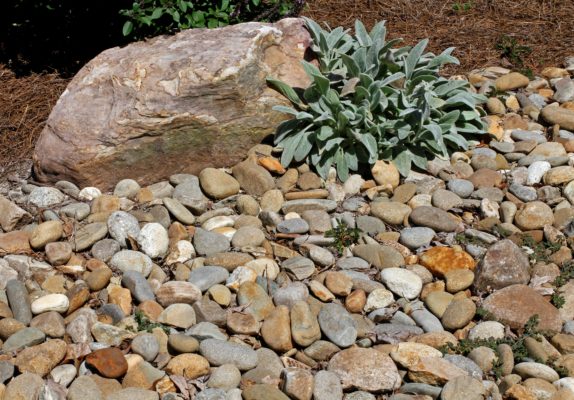large, stone boulder in multi-colored creek stone rocks and a green plant in a garden