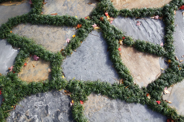 Irregular Flagstone Stone Garden Wilmington, North Carolina