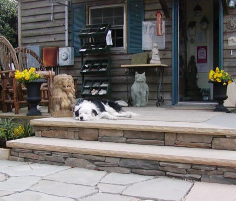 dog sleeping on patio porch at stone garden surrounded by garden art