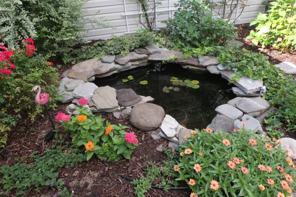 backyard pond using natural stone in a garden of flowers