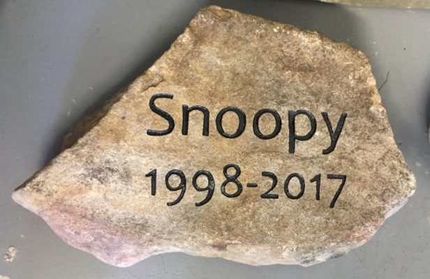 pet memorial engraved stone rock for the garden saying Snoopy