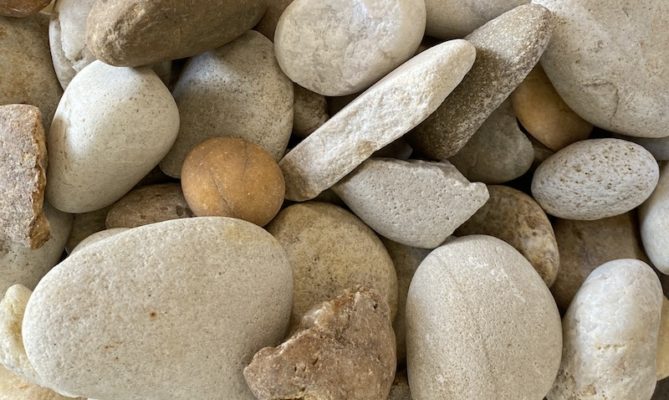 bayside skimmers pebbles at stone garden